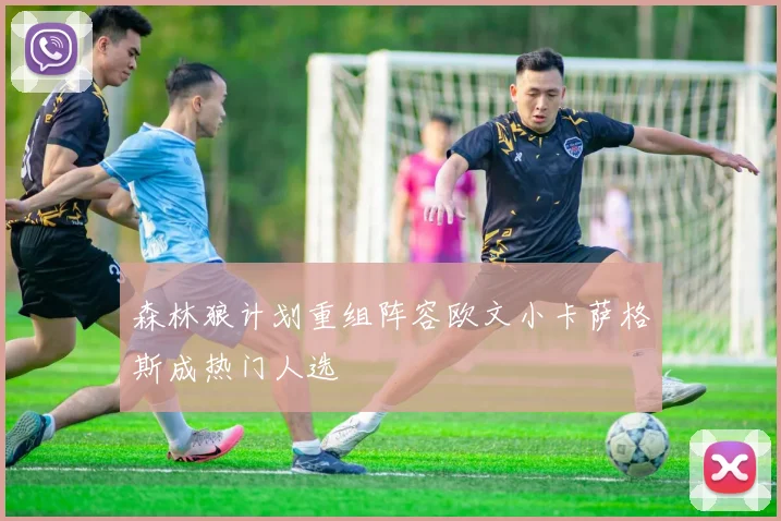 森林狼计划重组阵容欧文小卡萨格斯成热门人选