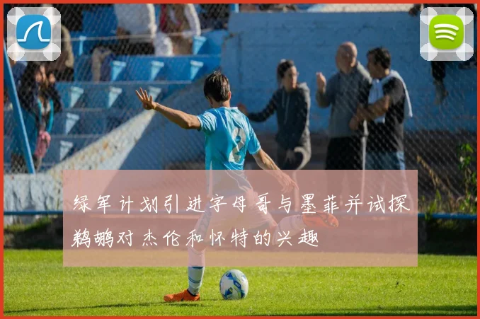 绿军计划引进字母哥与墨菲并试探鹈鹕对杰伦和怀特的兴趣