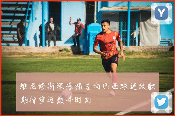 维尼修斯深感痛苦向巴西球迷致歉期待重返巅峰时刻